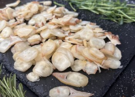 Восьминіг Медальйон ТМ Байк