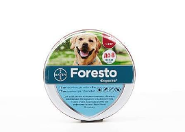 FORESTO